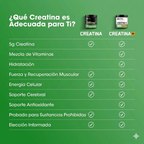 Creatine ON - Optimum Nutrition